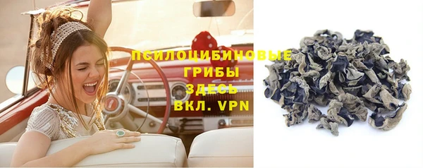 первитин Лиски