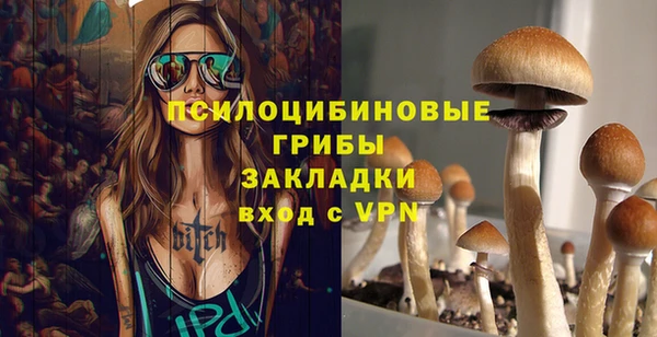 первитин Лиски