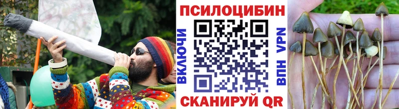 Купить закладки Чапаевск Галлюциногенные грибы Cubensis