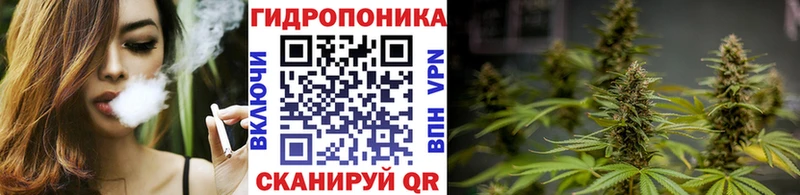 Купить  Чапаевск  Бошки марихуана сатива 